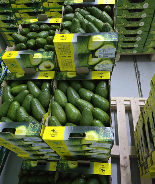 Banner-Afriavo-Orchards-Kenya-Processed-Avocado